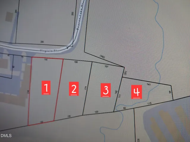 a view of a lush green forest with trees and some trees