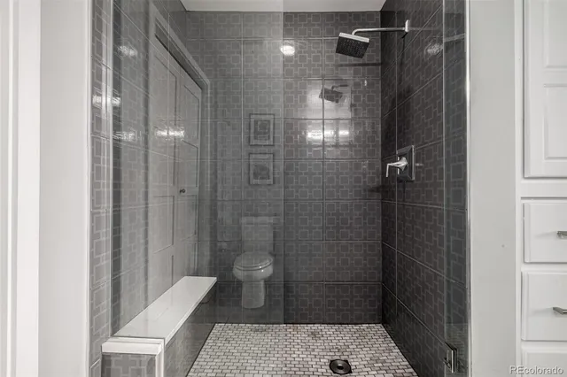 a bathroom with a shower and toilet