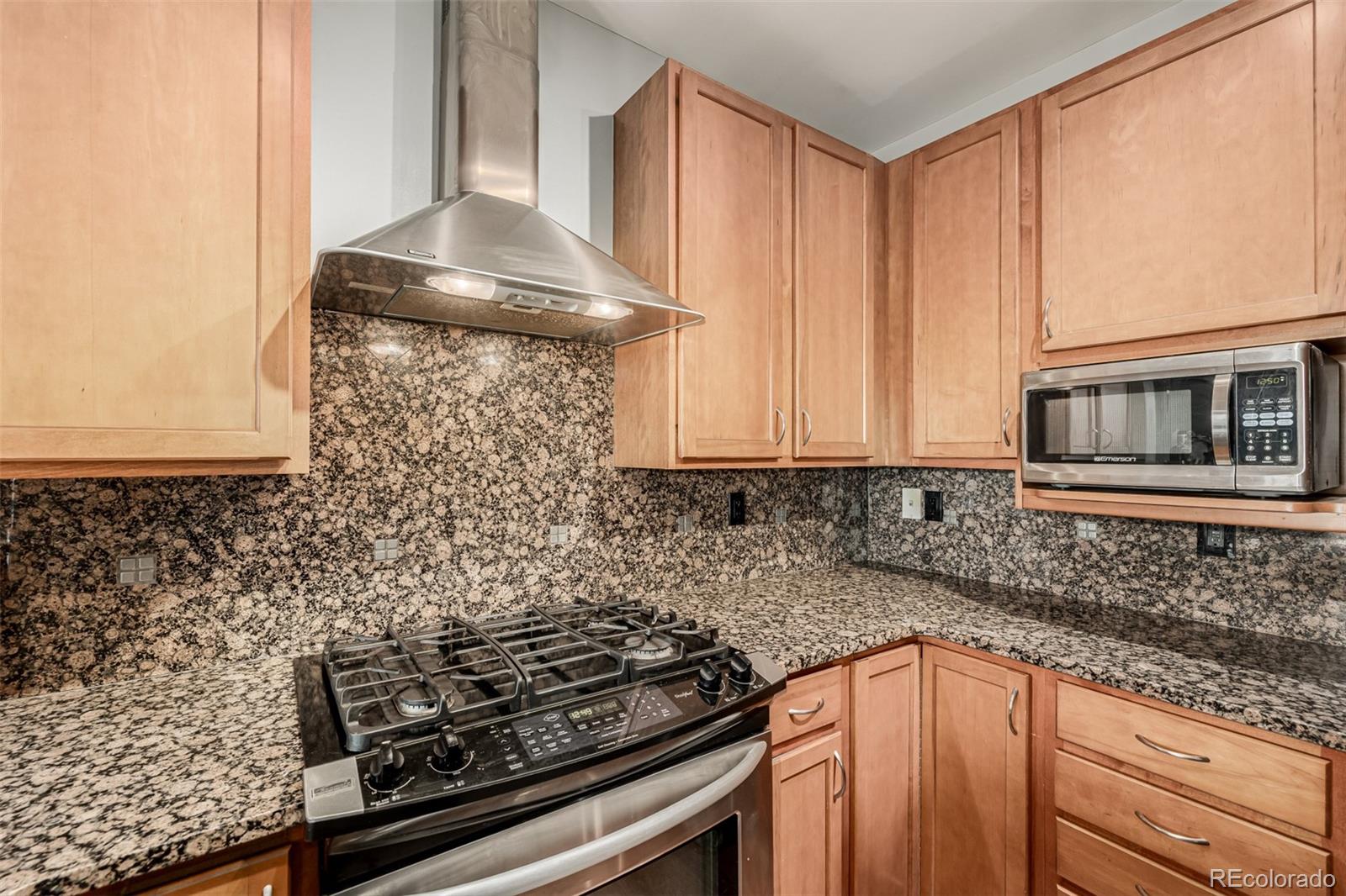 1313 South Clarkson Street, Unit 305 Denver, CO 80210 - Photo 4 of 48