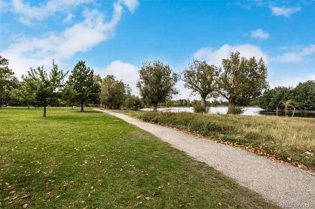 a view of grassy field with trees