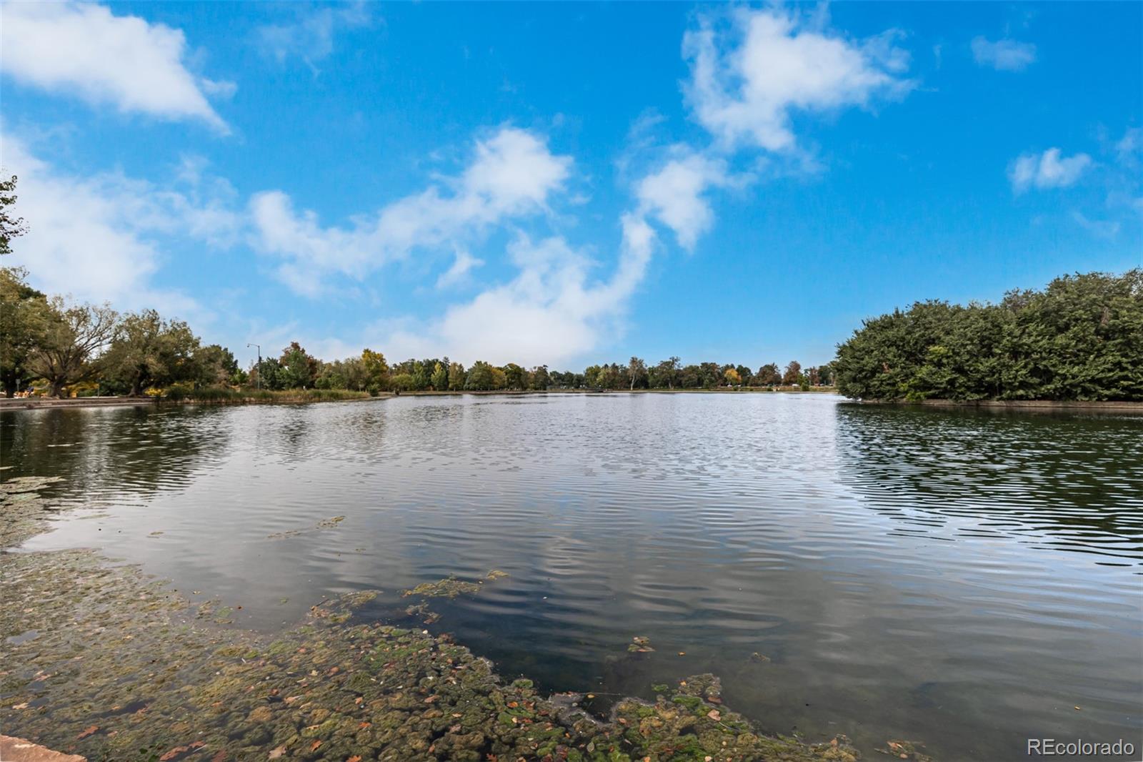 1313 South Clarkson Street, Unit 305 Denver, CO 80210 - Photo 46 of 48