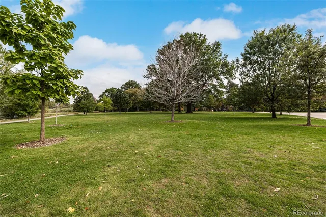 a view of a park with large trees