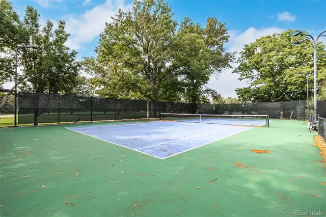 a view of yard with a trampoline
