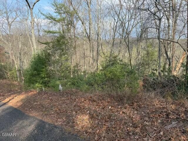 973 Ridgefield Drive Sevierville, TN 37876 - Photo 5 of 13 Gallery Image 5