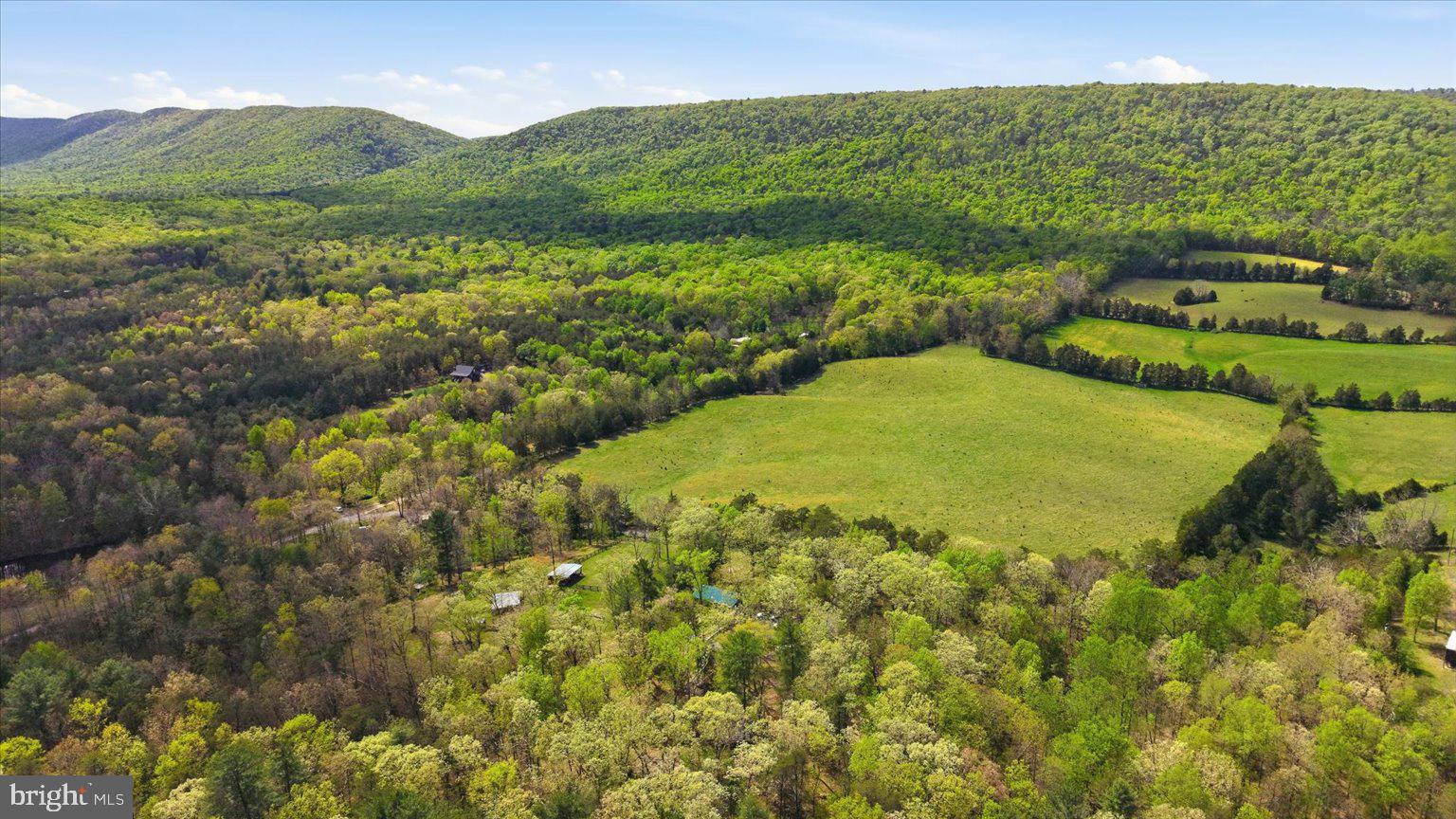 482 Boyer Road Fort Valley, VA 22652 - Photo 5 of 47
