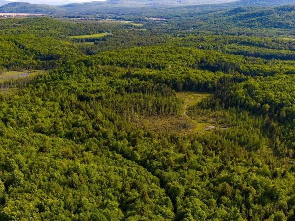$234,900 | 3180 Bear Hill Road, Maidstone, VT 05905