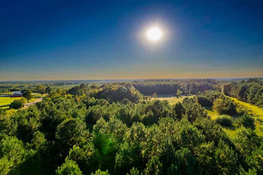2226 Randall Wade Road Headland, AL 36345 - Photo 1 of 60
