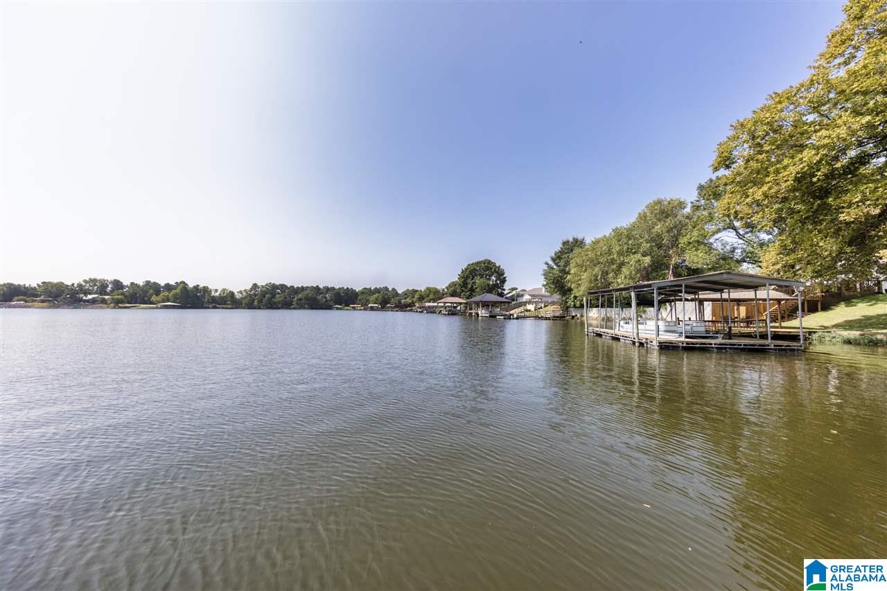 708 Cove Point Drive Riverside, AL 35135 - Photo 22 of 50