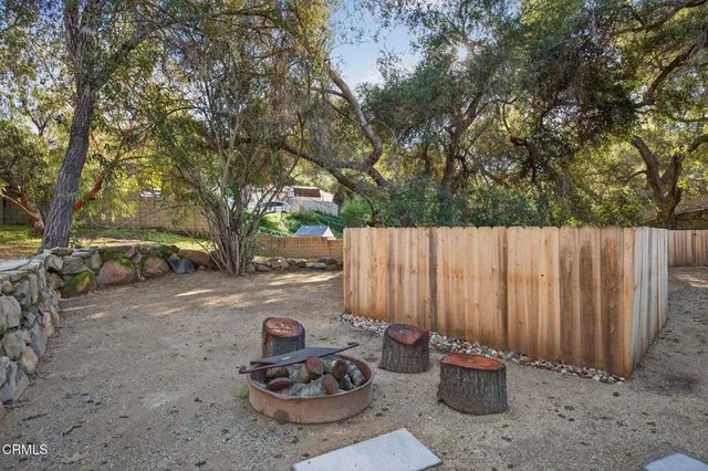 a view of backyard with tree