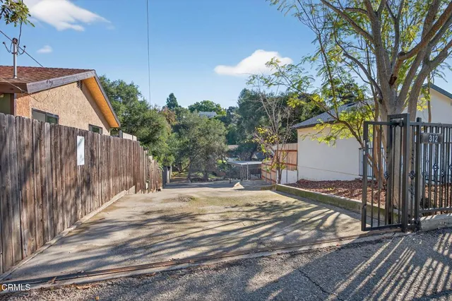 a view of a tree in a yard with a tree