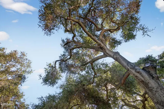 $799,000 | 312 Prospect Street, Oak View, CA 93022