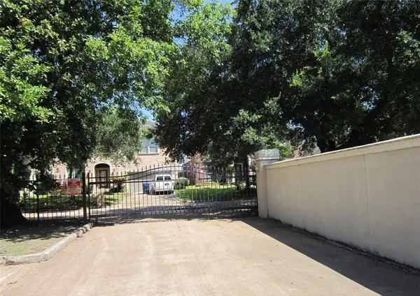 a view of a park that has a tree in front of it