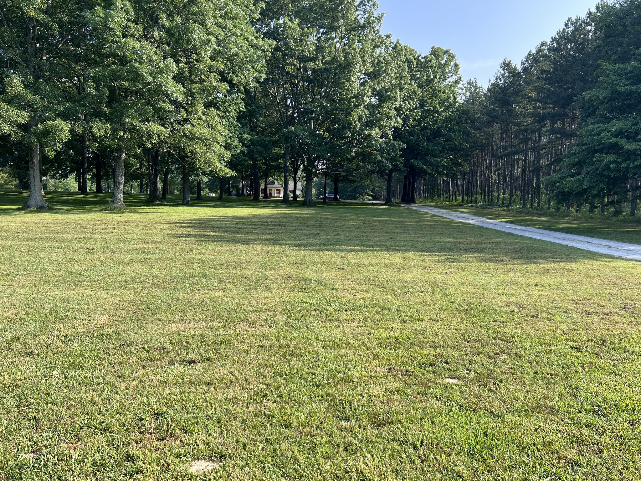 86 Yoder Road Ethridge, TN 38456 - Photo 3 of 3 a view of outdoor space with swimming pool
