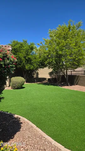 a view of a garden with a large tree