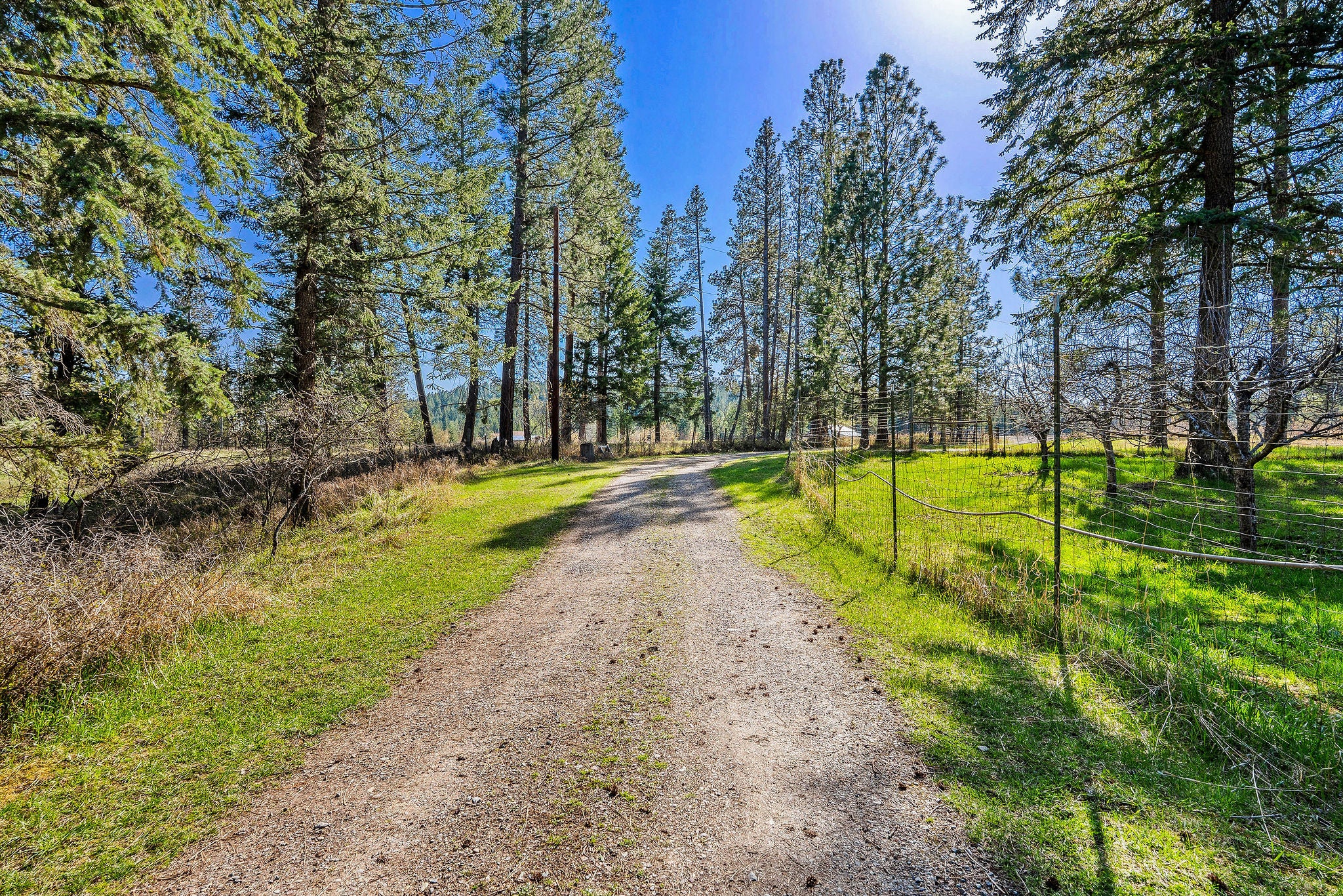 701 McCaffery Road Bigfork, MT 59911 - Photo 62 of 65 Gallery Image 62