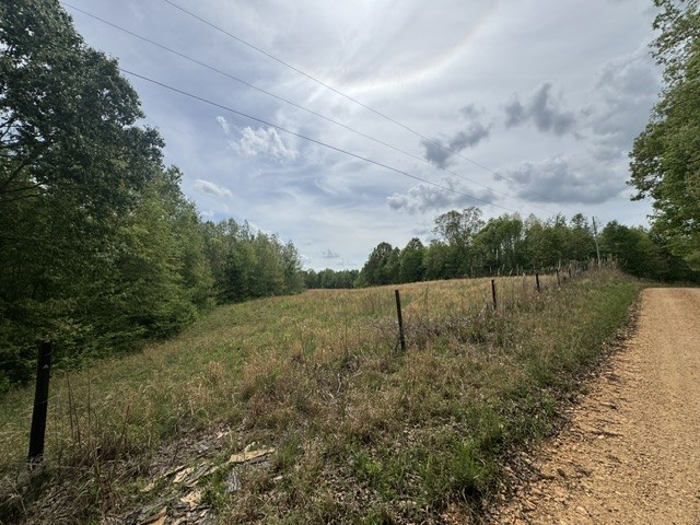 637 Hargis Road Bumpus Mills, TN 37028 - Photo 6 of 17