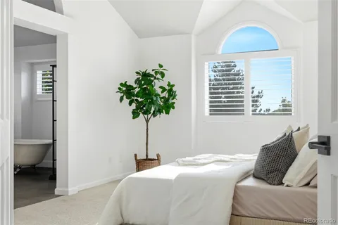 a bedroom with a bed and a potted plant