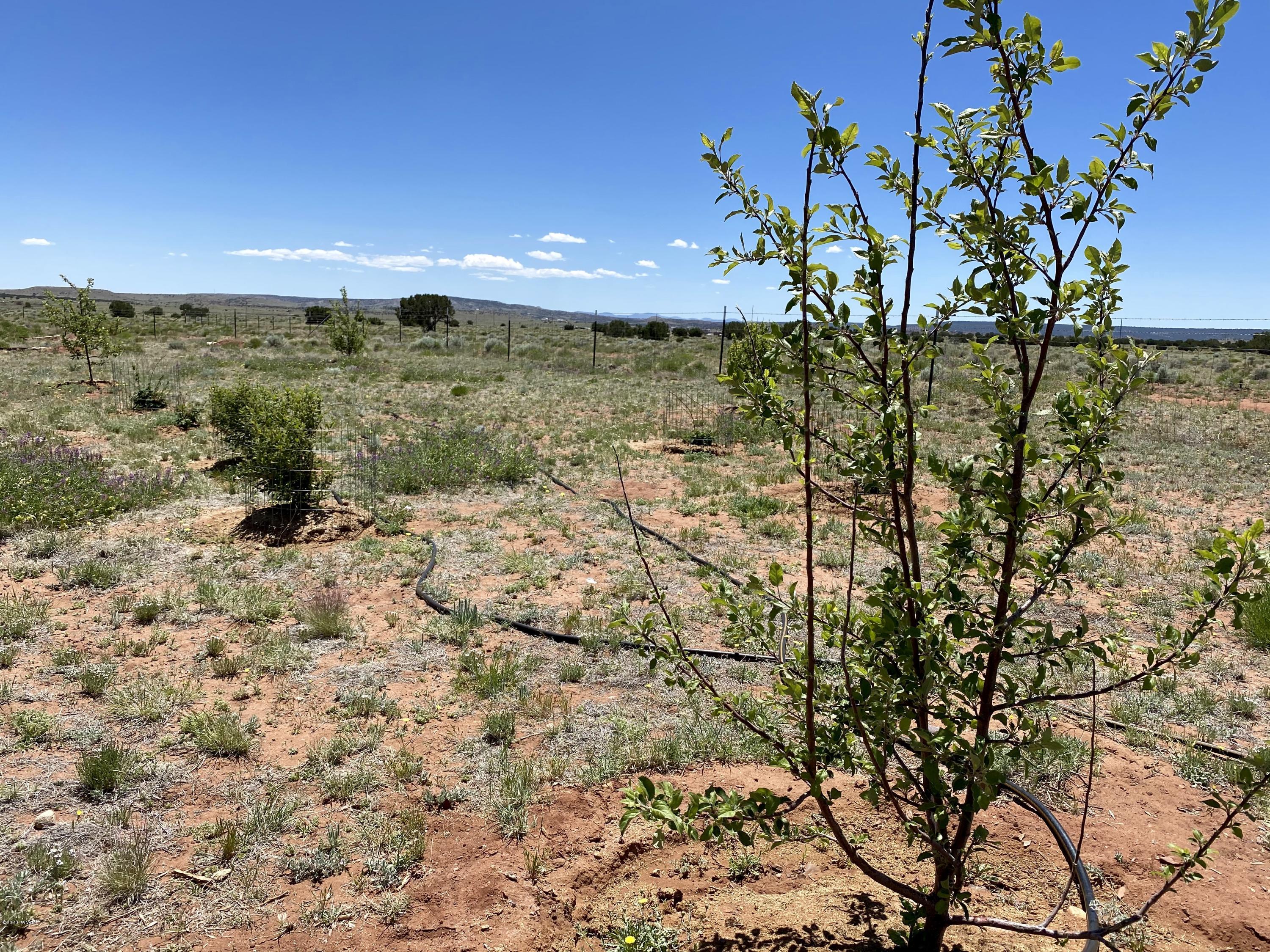 6 County Road Concho, AZ 85924 - Photo 17 of 32