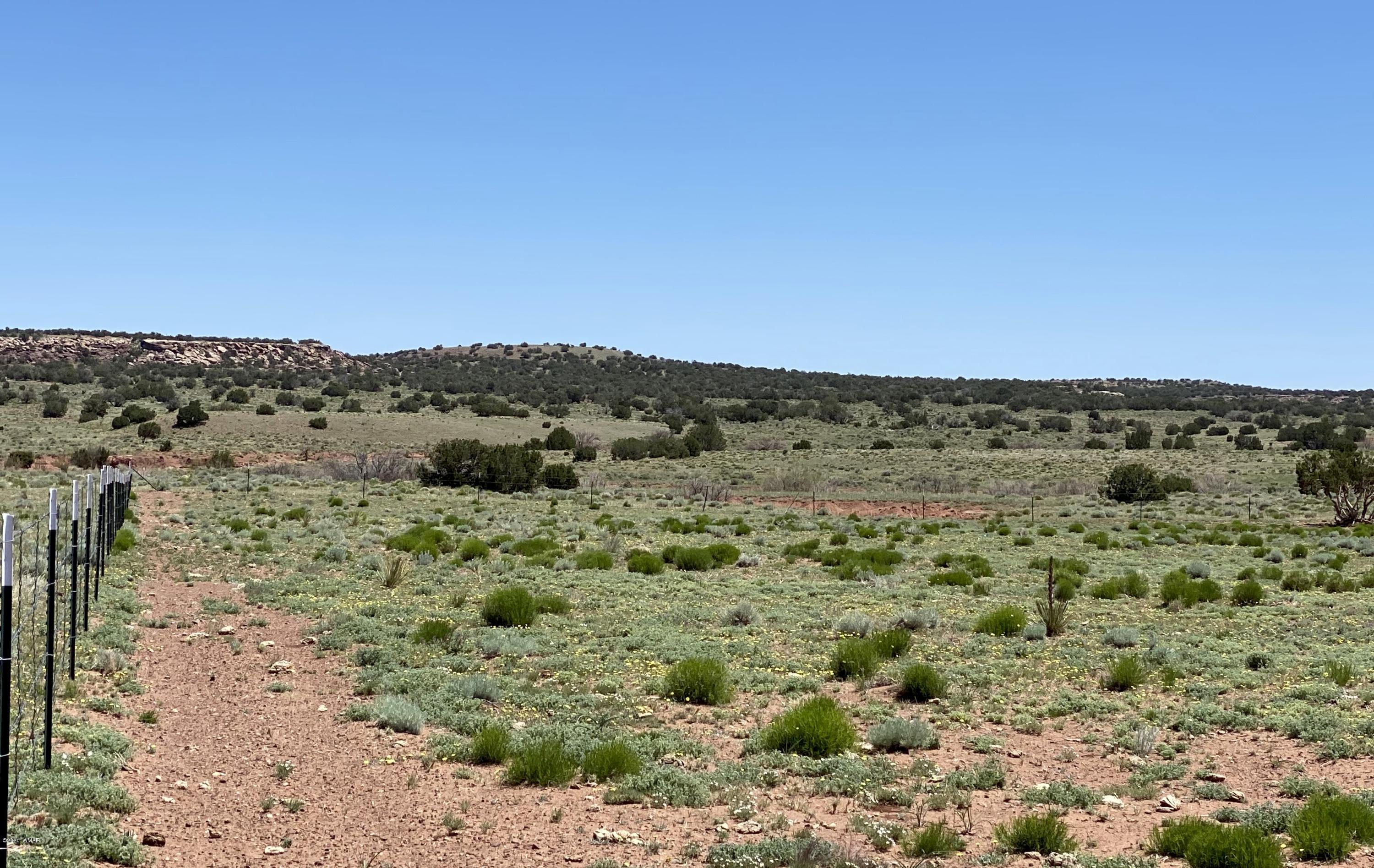 6 County Road Concho, AZ 85924 - Photo 20 of 32