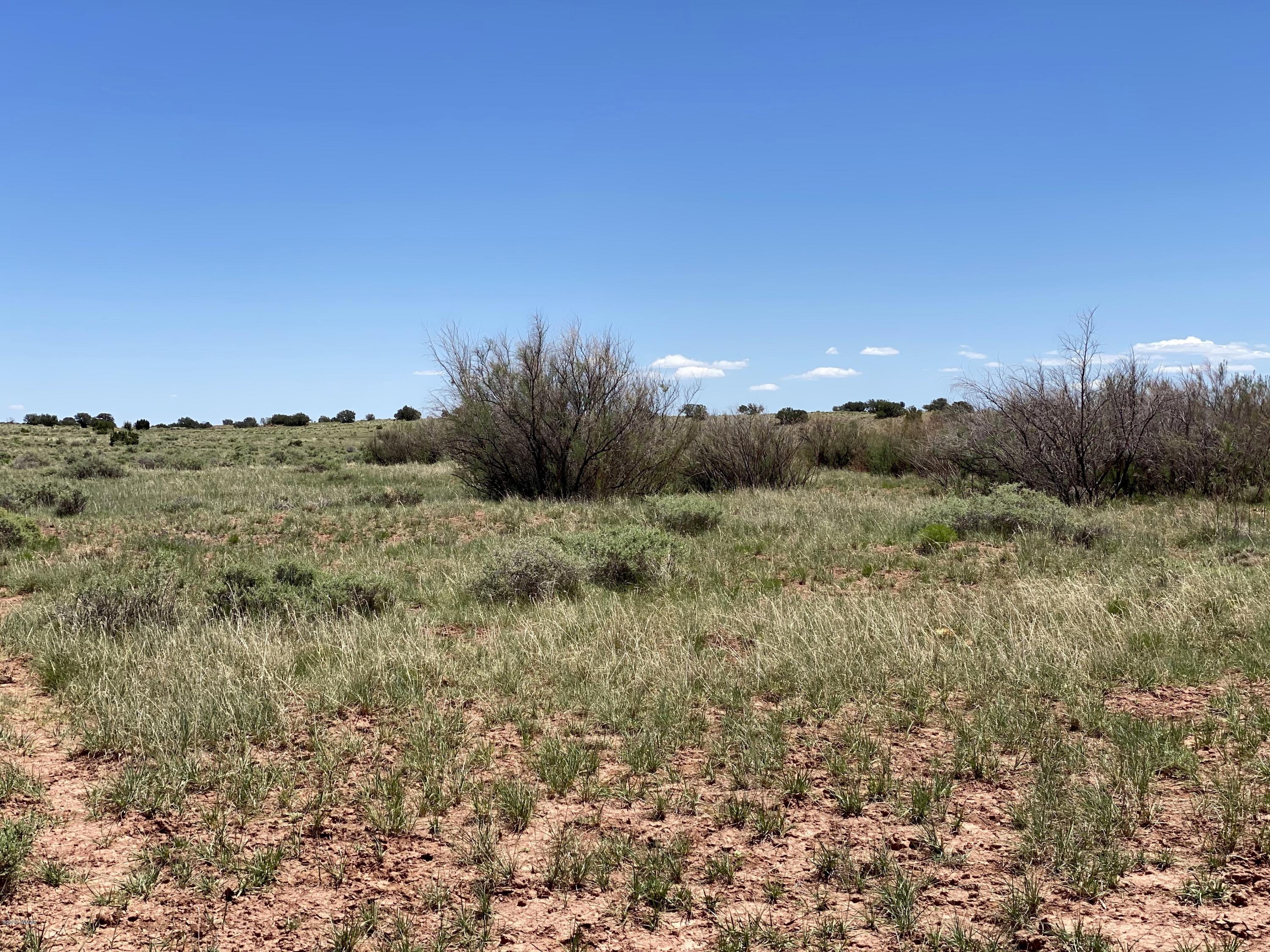 6 County Road Concho, AZ 85924 - Photo 21 of 32