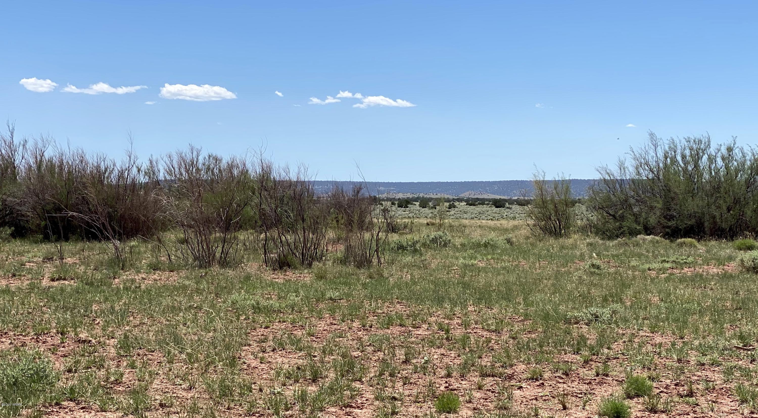 6 County Road Concho, AZ 85924 - Photo 22 of 32