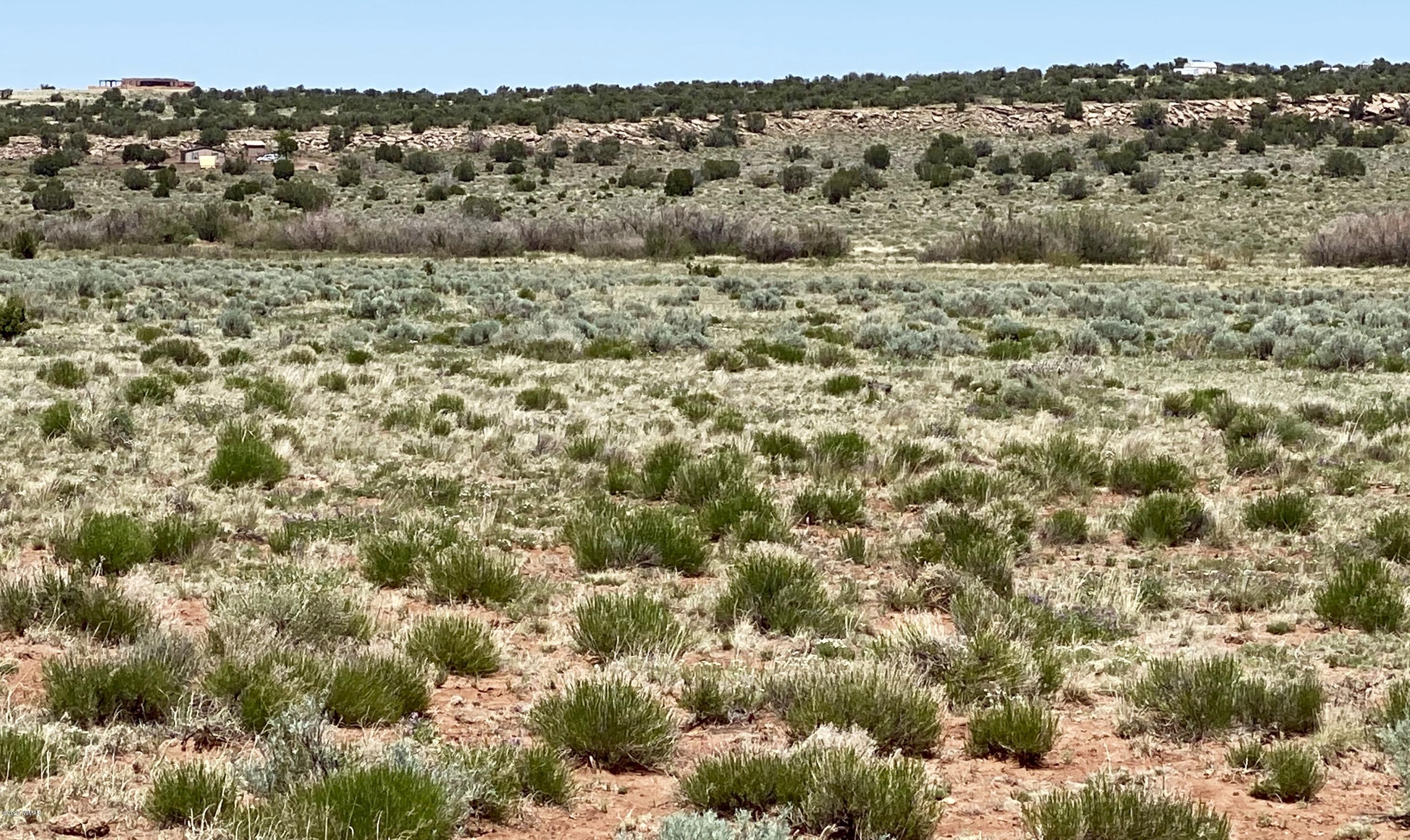 6 County Road Concho, AZ 85924 - Photo 23 of 32