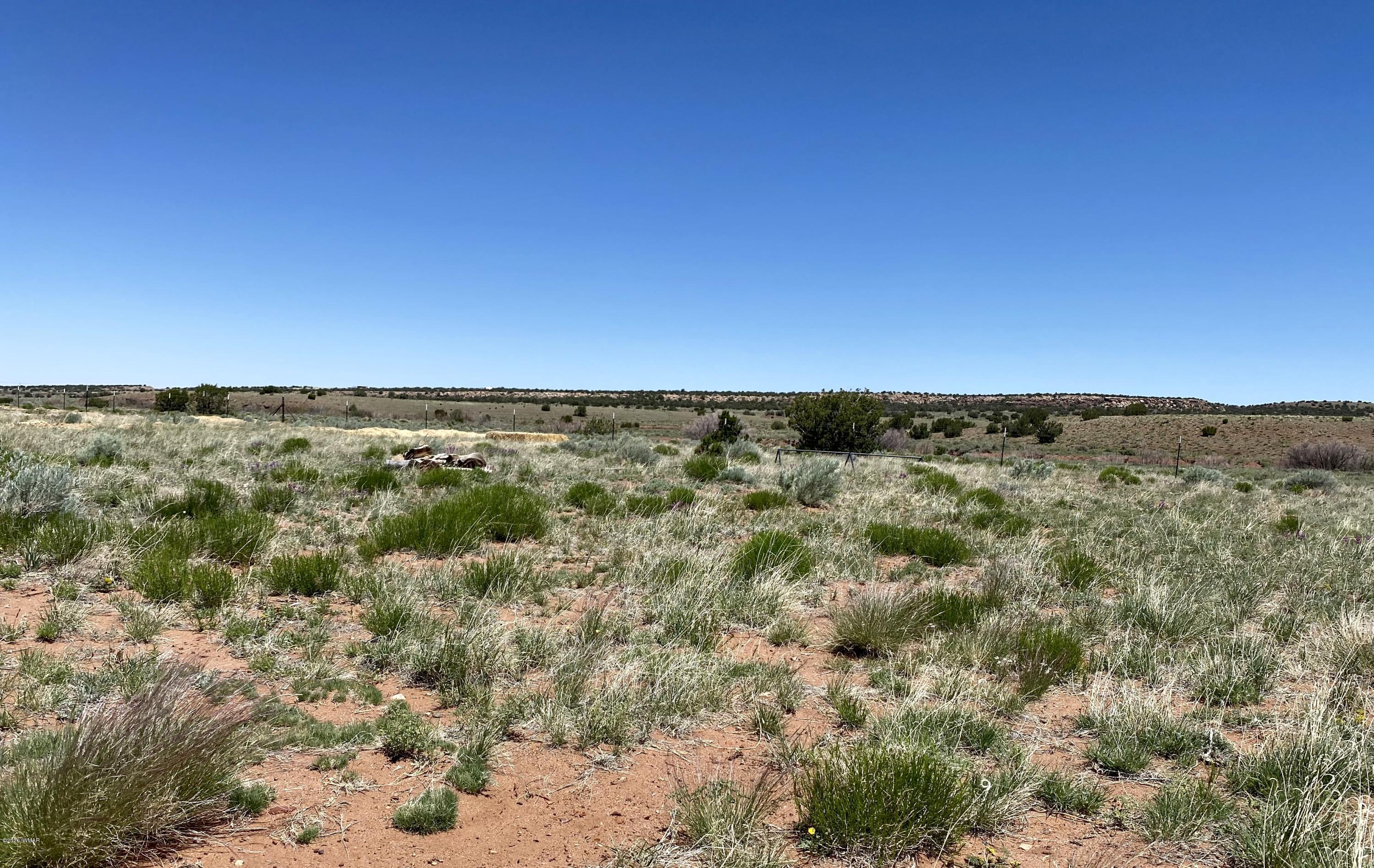 6 County Road Concho, AZ 85924 - Photo 24 of 32
