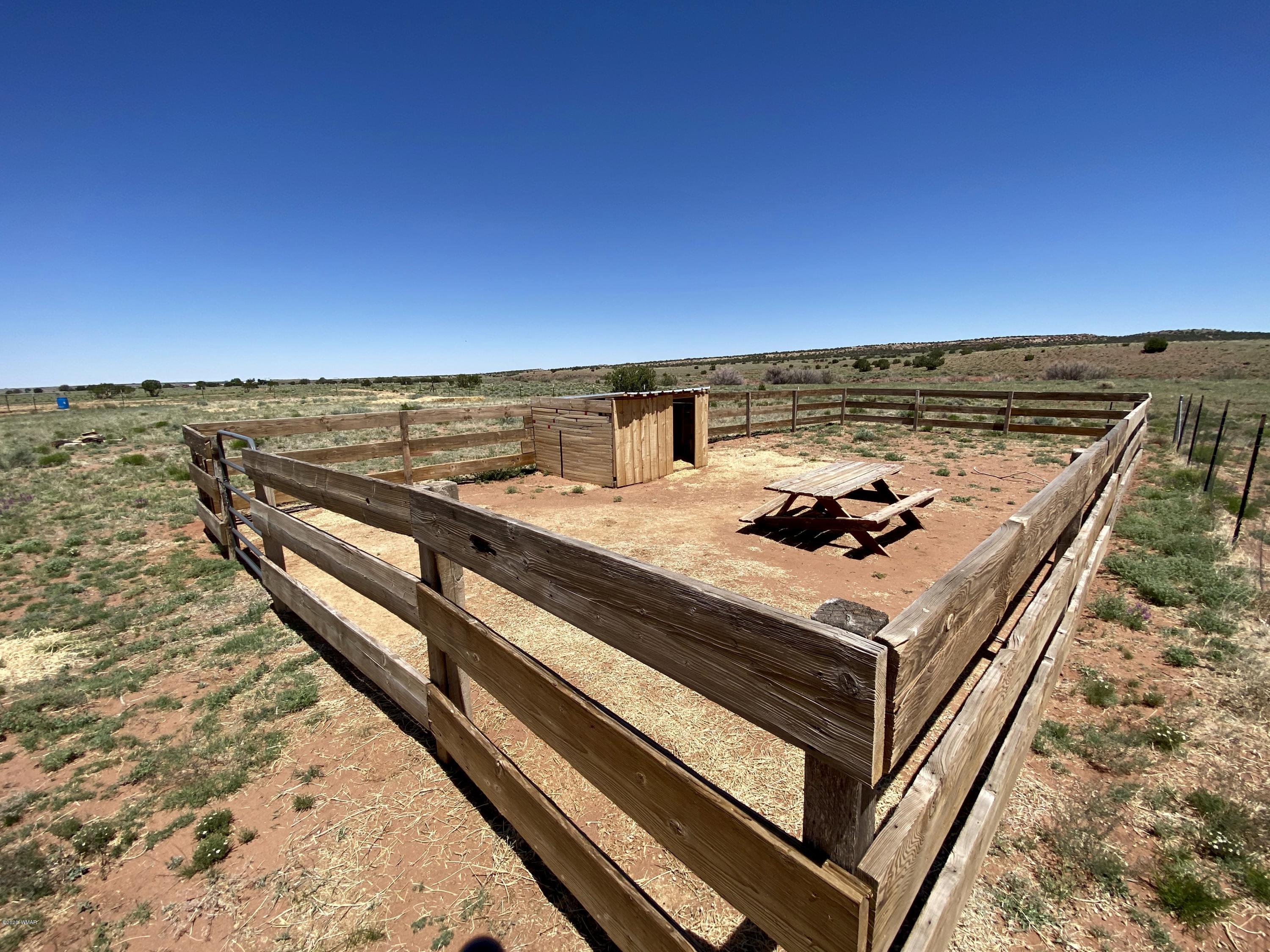 6 County Road Concho, AZ 85924 - Photo 9 of 32