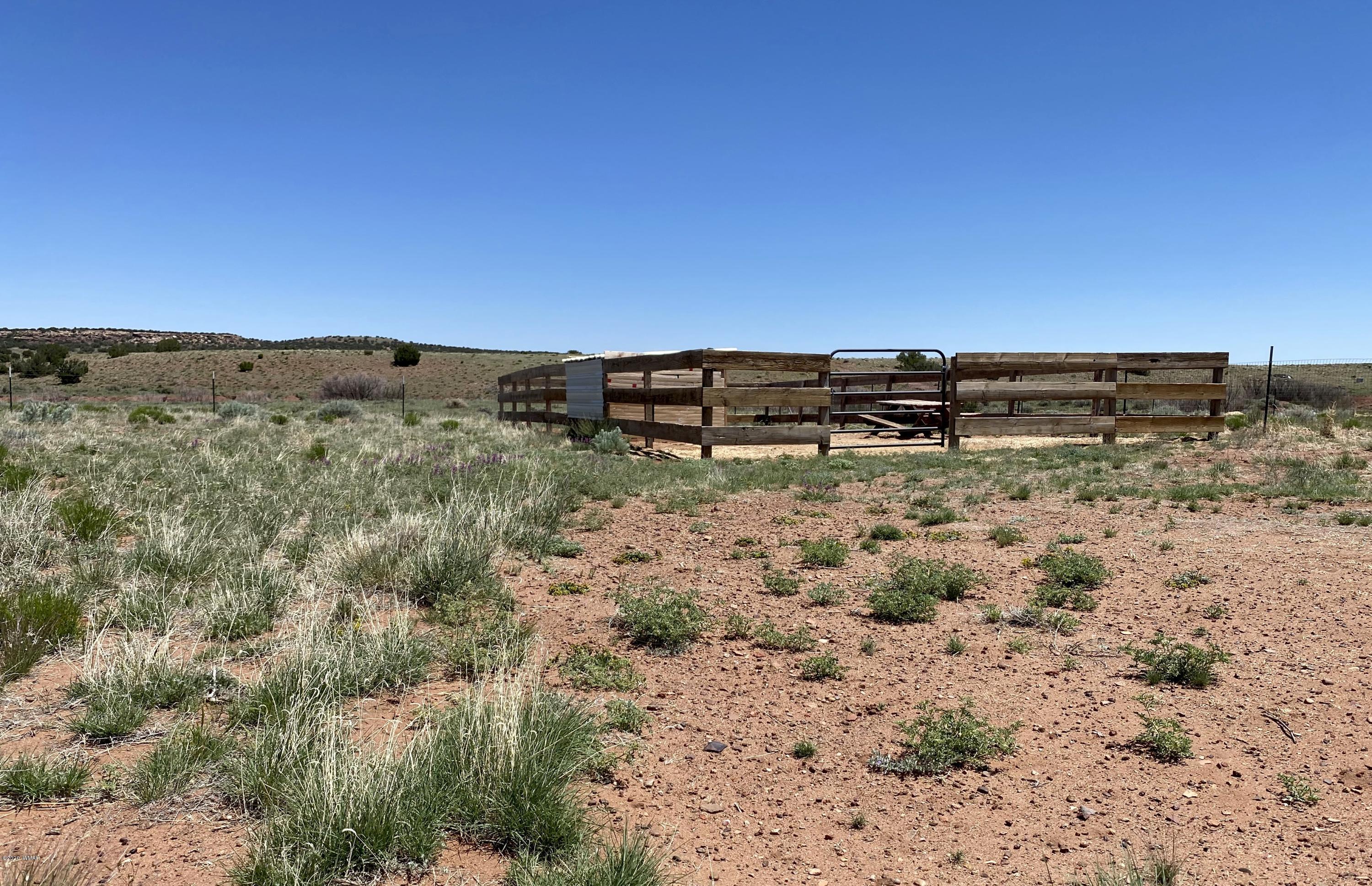 6 County Road Concho, AZ 85924 - Photo 10 of 32