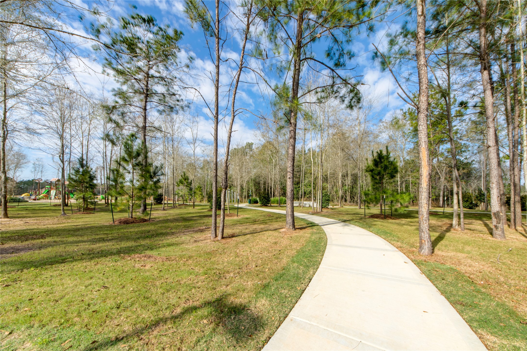 28821 Chalk Rdg Lane New Caney, TX 77357 - Photo 28 of 30
