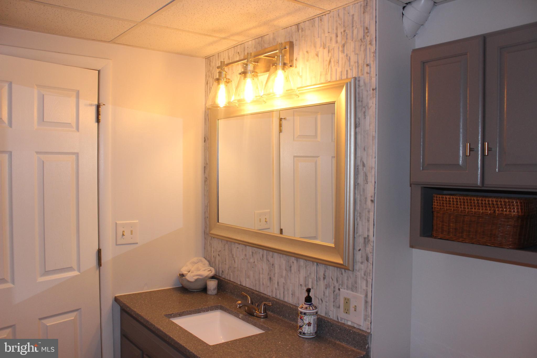 3208 Trinity Road Harrisburg, PA 17109 - Photo 38 of 41 Bathroom with access from Studio & T.V. Room