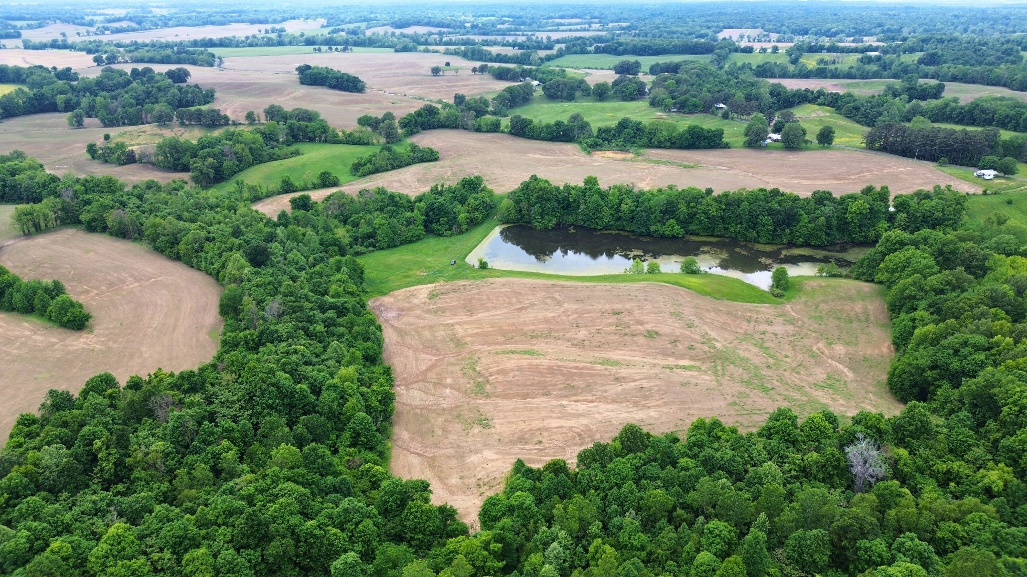 1756 Oak Ridge Road Obion, TN 38240 - Photo 32 of 46 Gallery Image 32