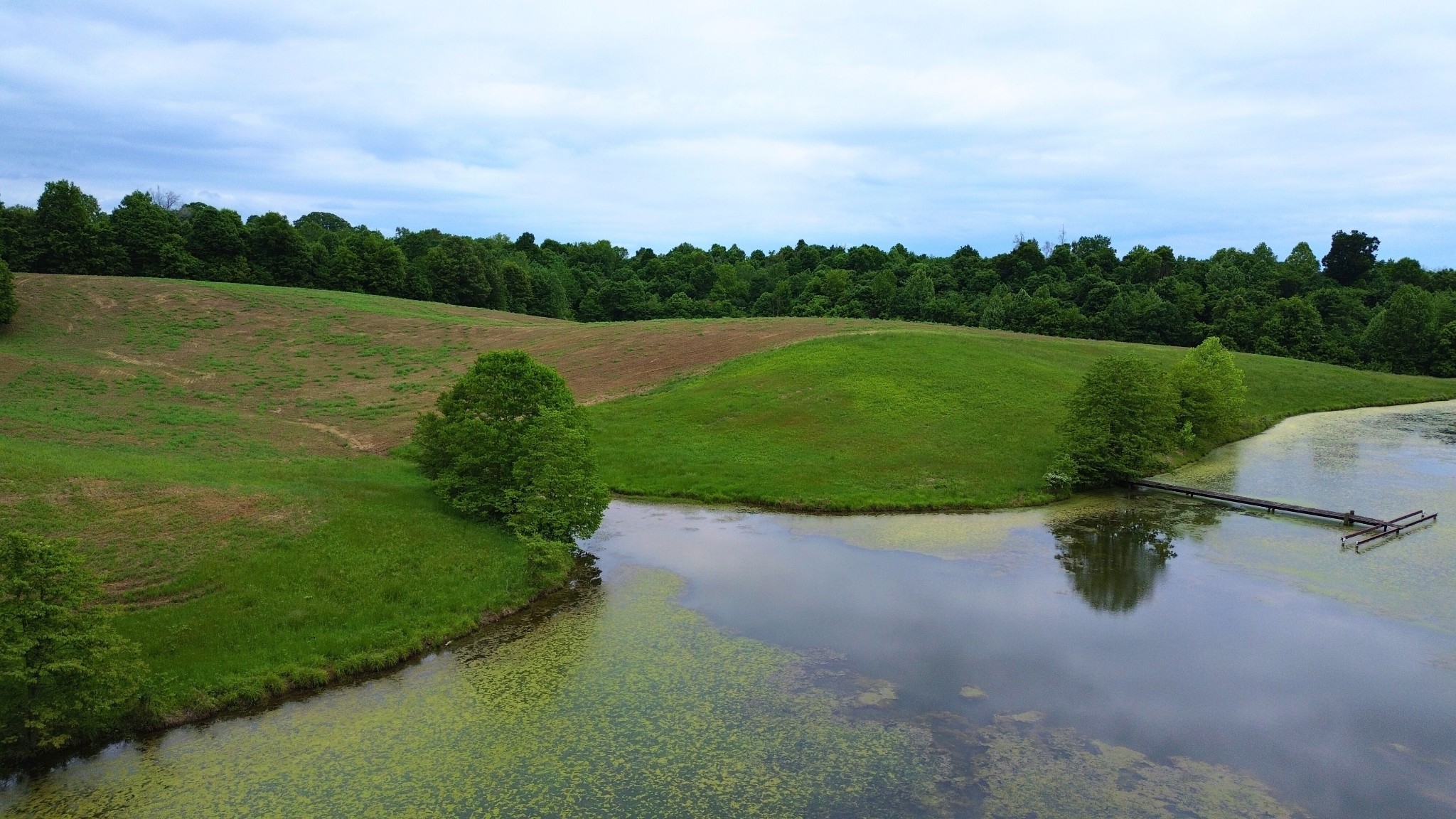 1756 Oak Ridge Road Obion, TN 38240 - Photo 43 of 46 Gallery Image 43
