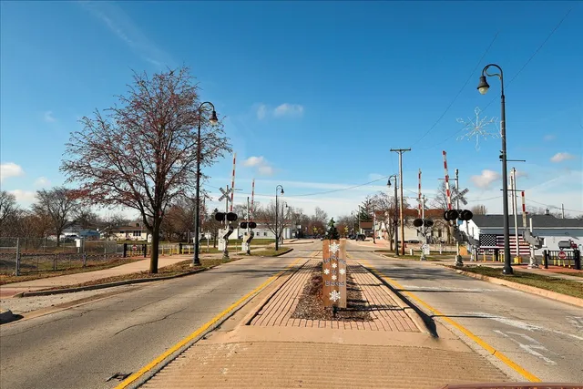 a view of a park with large trees