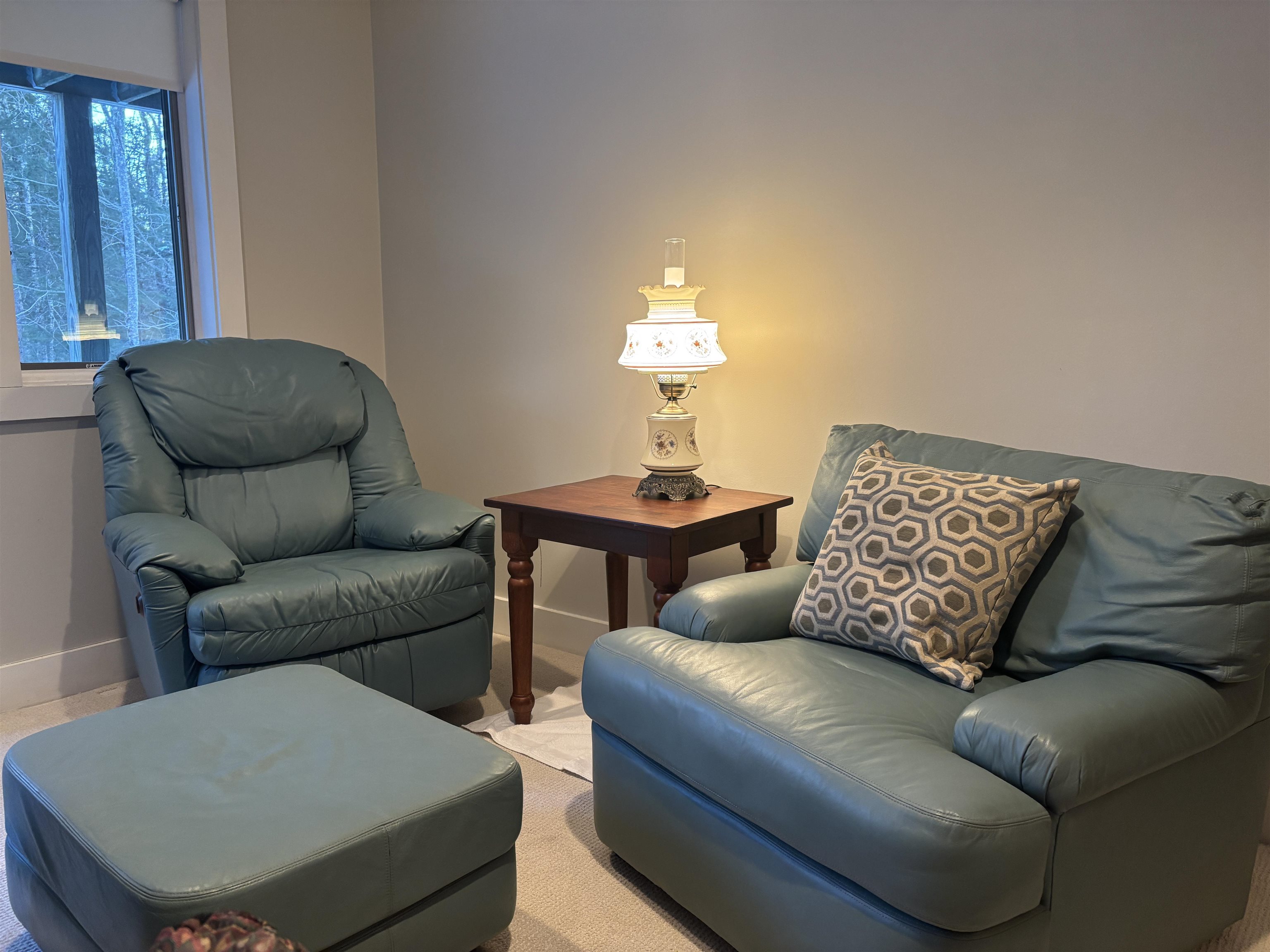 4 Whitetail Ridge Springfield, NH 03753 - Photo 9 of 20 Gallery Image 9