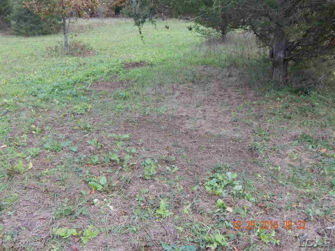 Vac East Vac E Blue Ridge Road Clarklake, MI 49234 - Photo 30 of 32 31328508-29.JPG