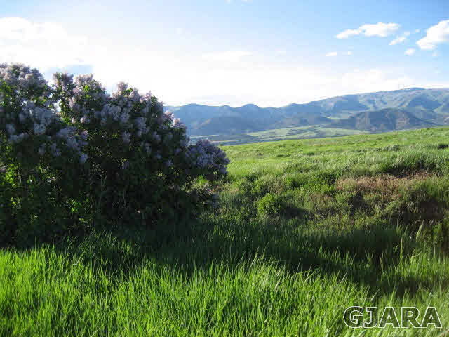 59380 Me Road Collbran, CO 81624 - Photo 1 of 20 Gallery Image 1