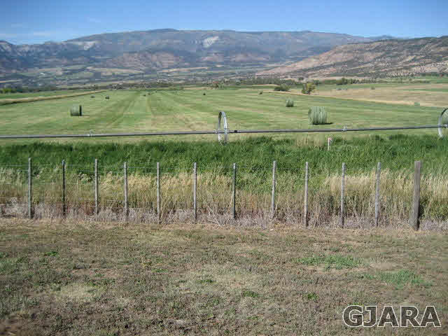 59380 Me Road Collbran, CO 81624 - Photo 11 of 20 Gallery Image 11