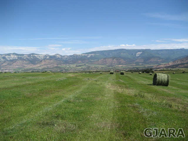 59380 Me Road Collbran, CO 81624 - Photo 3 of 20 Gallery Image 3