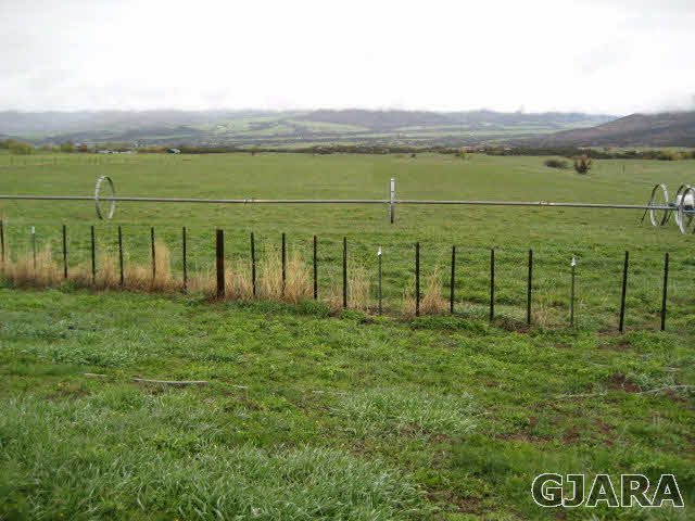59380 Me Road Collbran, CO 81624 - Photo 5 of 20 Gallery Image 5