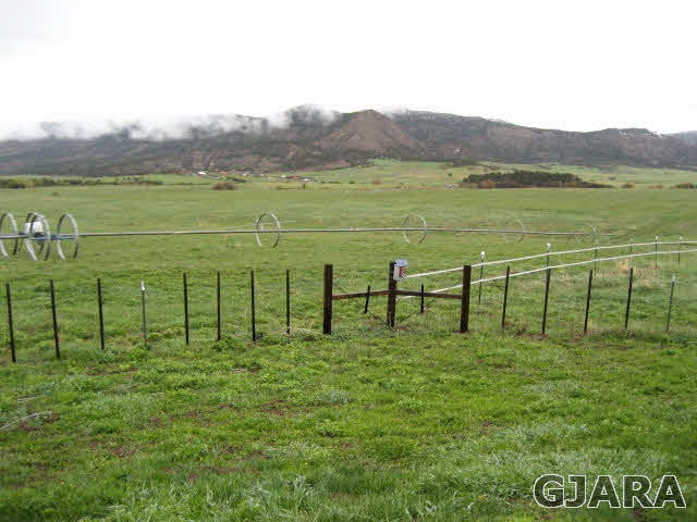 59380 Me Road Collbran, CO 81624 - Photo 6 of 20 Gallery Image 6