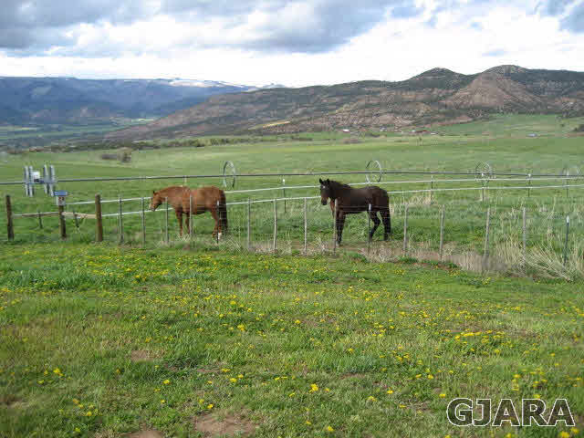 59380 Me Road Collbran, CO 81624 - Photo 8 of 20 Gallery Image 8