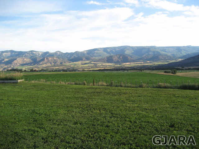 59380 Me Road Collbran, CO 81624 - Photo 9 of 20 Gallery Image 9