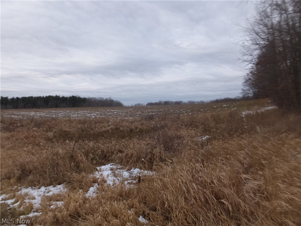 V/l Kline Road Rootstown, OH 44272 - Photo 4 of 7