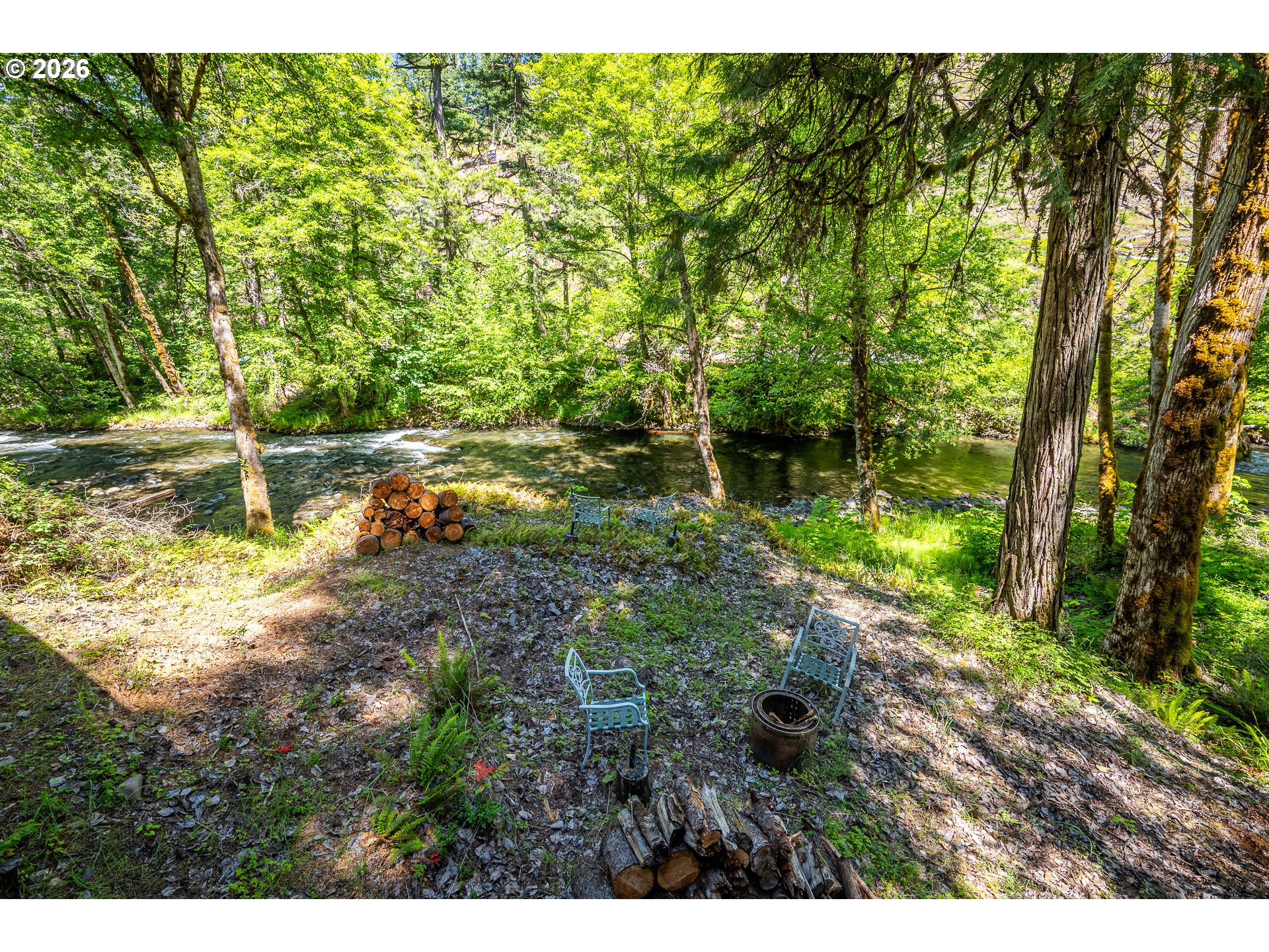 49091 Salt Creek Road Oakridge, OR 97463 - Photo 5 of 16 a view of a yard with plants and large trees