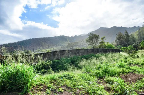 a view of a lush green hillside and a building