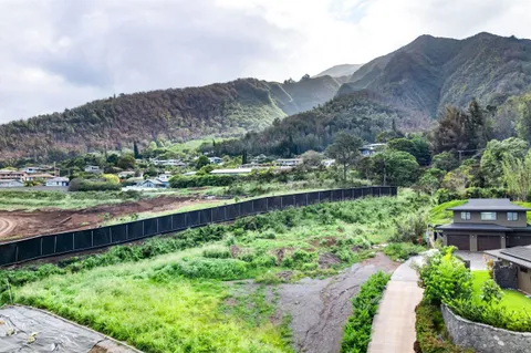 a view of a garden with a mountain