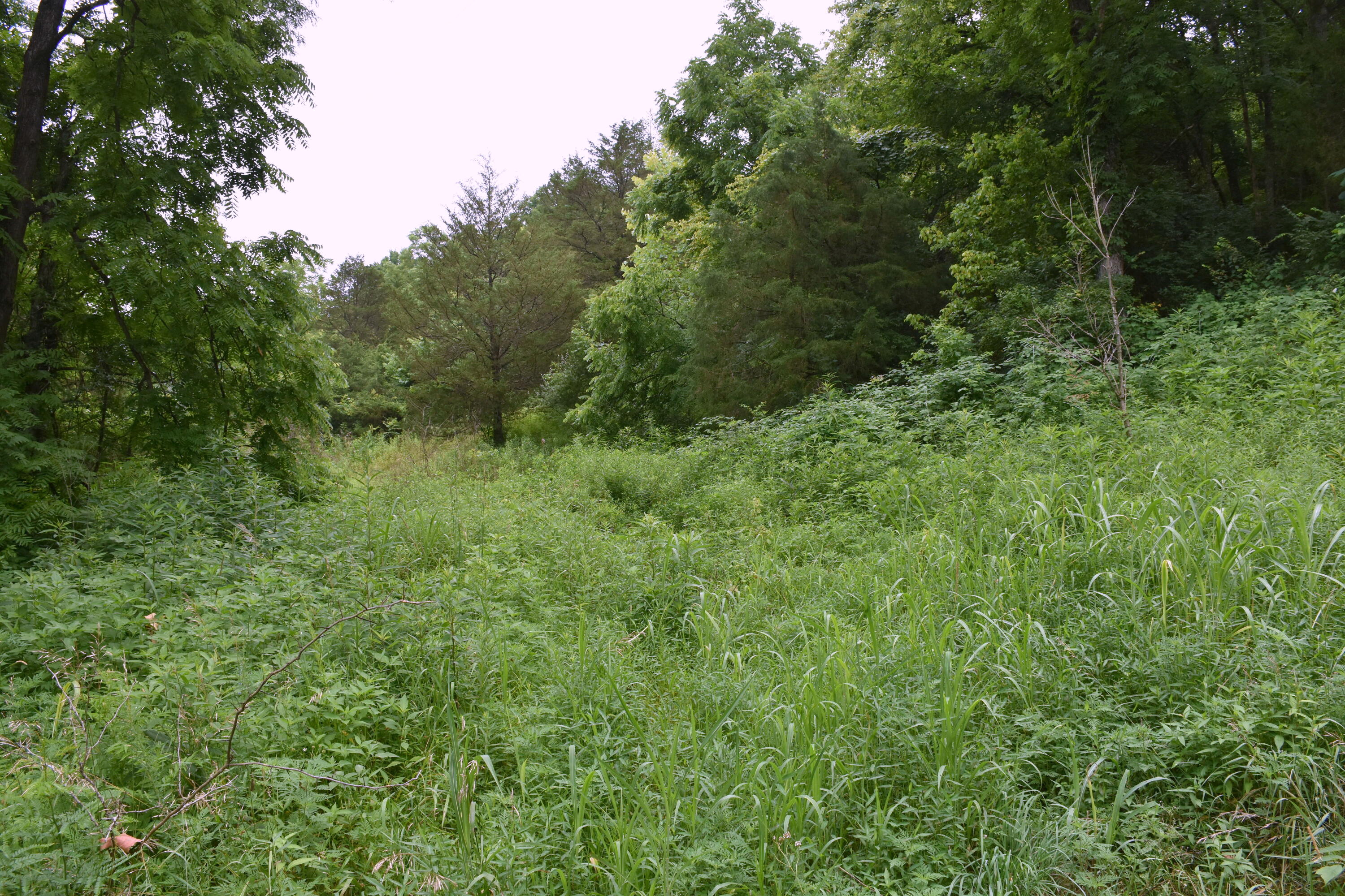 1540 Snag Creek Road Foster, KY 41043 - Photo 7 of 11