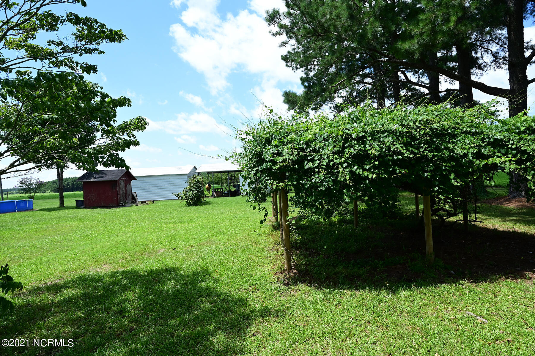 1818 Big Oak Road Robersonville, NC 27871 - Photo 16 of 61 1818-Big-Oak-Road-00020