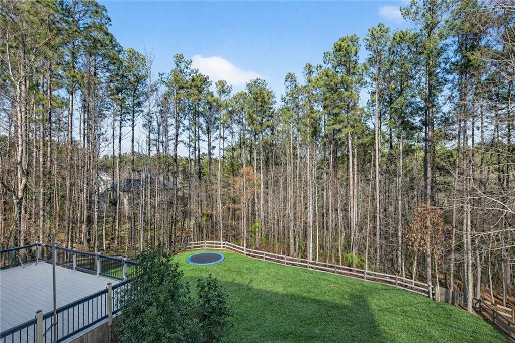 167 Calming Water Trail Dallas, GA 30132 - Photo 58 of 64 a view of yard with green space